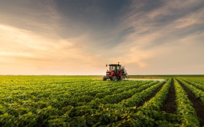Kako odabrati pravi traktor za vaše imanje